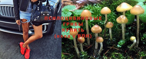 метадон Алзамай