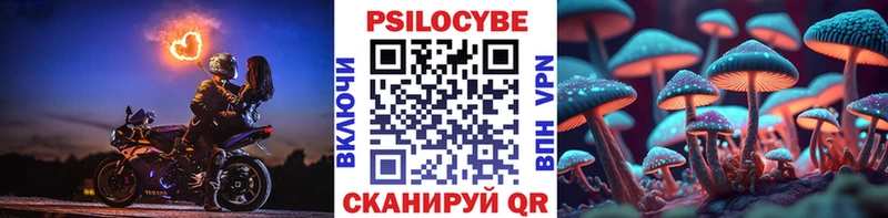 Галлюциногенные грибы Psilocybe  Покачи 