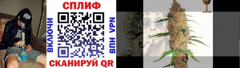 сколько стоит  Покачи  Бошки Шишки ГИДРОПОН 
